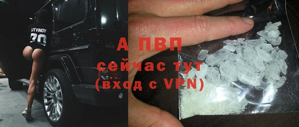 крисы Алексин