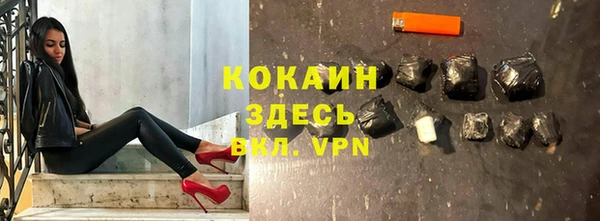 крисы Алексин