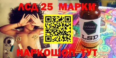 крисы Шебекино