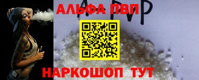 крисы Шебекино