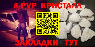 крисы Шебекино