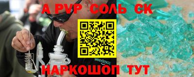 молекула духа Шелехов