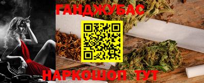 крисы Шебекино