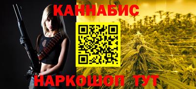 молекула духа Шелехов