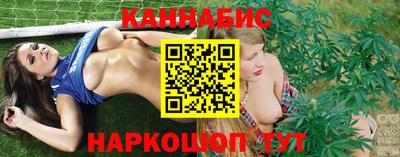 крисы Шебекино
