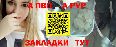 крисы Шебекино