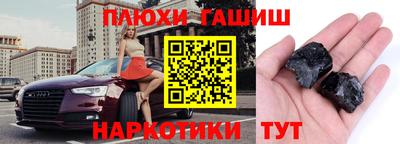 крисы Шебекино
