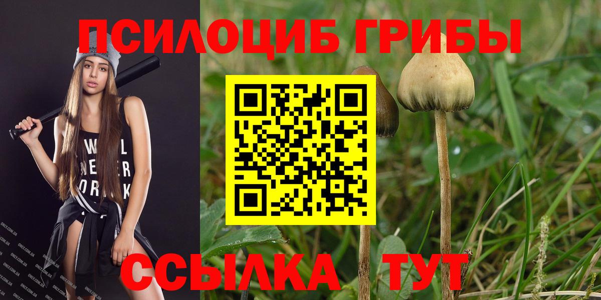 Псилоцибиновые грибы ЛСД Белгород